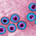 Herpes Dating Website Help Articles: A Comprehensive Overview
